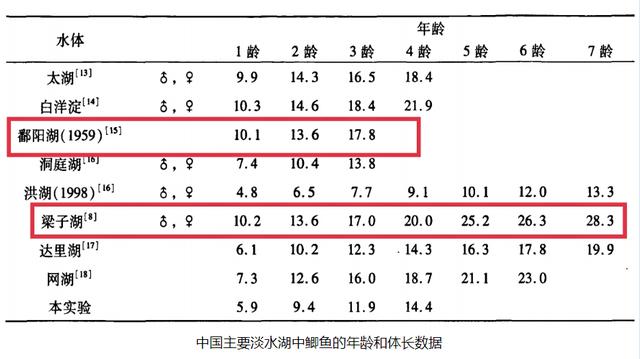 烤鱼怎么做不会粘烤网（烤鱼怎么做重庆正宗烤鱼）